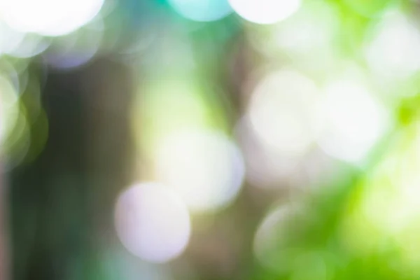 Soyut doğa yeşil bokeh arka plan. Arkaplan için bulanık.