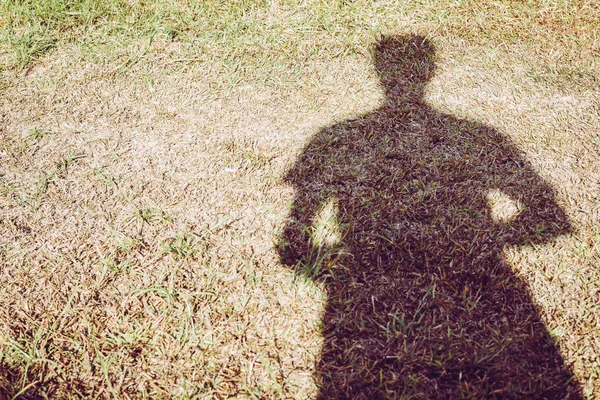 Photographer uses his shadow on the grass, magnificent light and marvelous shadows