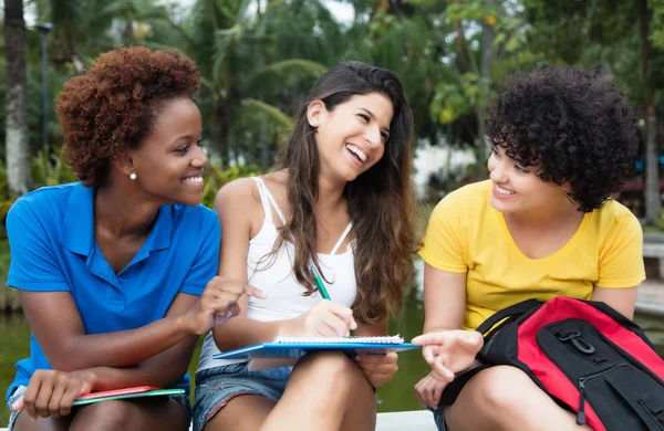 Gruppo di apprendimento multiculturale studentessa — Foto Stock