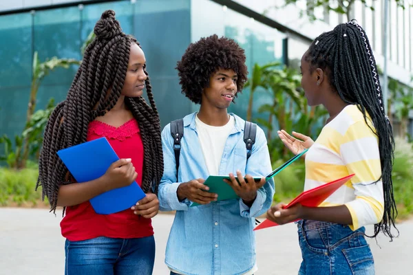 Group of talking african american male and female students — Stock Photo, Image