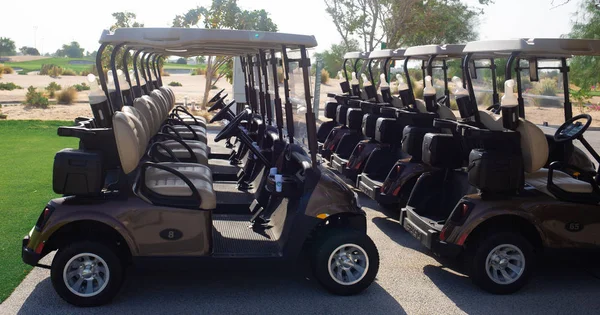 Carro de golf en un cierre de golf. Carros de golf y palmera en azul . —  Fotos de Stock