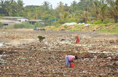 Sri Lanka 'da deniz kenarında çöpleri toplayan zavallı kadınlar.