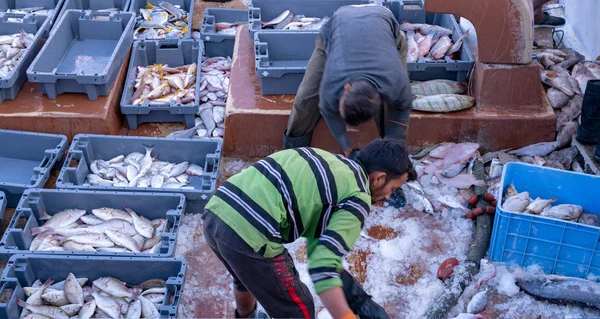 Imagem de fundo de peixes capturados do mar prontos para venda no Qatar — Fotografia de Stock