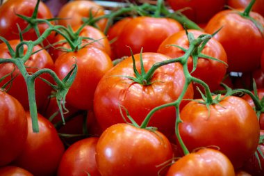 arkaplan: domates karışımı resim