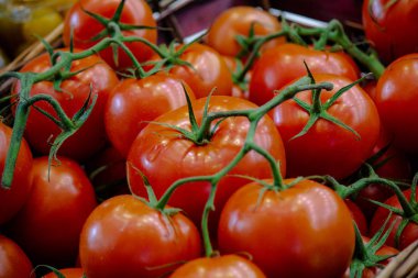 arkaplan: domates karışımı resim