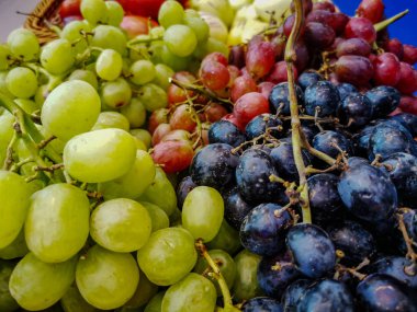 arkaplan: Arka planda çeşitli taze üzümlerin karışımı