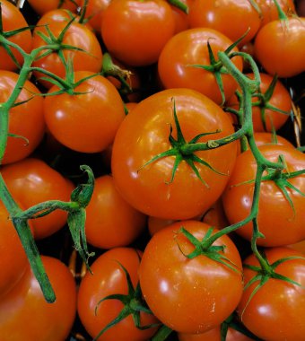 arkaplan: domates karışımı resim