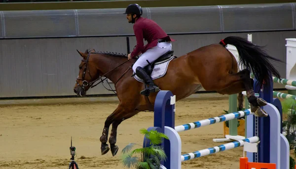 Doha, Qatar- 11 січня 2020: background image with Horse jump in Doha, Qatar. — стокове фото