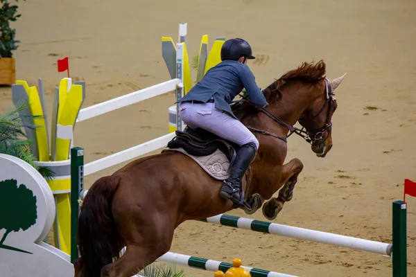 Doha, Qatar - 11 de enero de 2020: imagen de fondo con salto de caballo en Doha, Qatar . —  Fotos de Stock