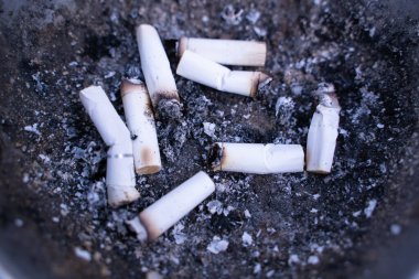 Sigara tomurcukları büyük kül tablası içinde bir sürü.