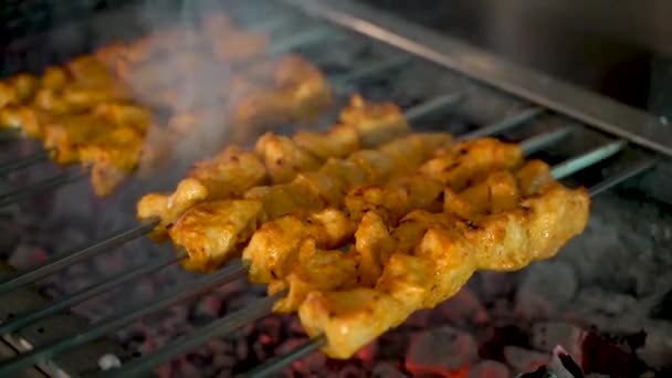 Tikka Shish Kofta Kebabs Charcoal Barbeque Barbeque — Stock Video