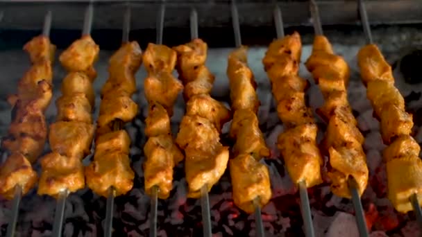 Tikka Shish Kofta Kebaby Grilu Dřevěném Uhlí — Stock video