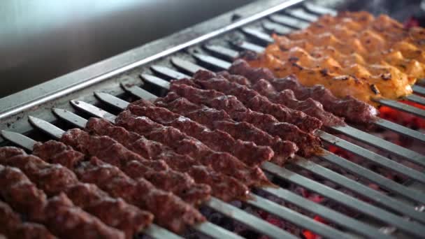 Kebabs Tikka Shish Kofta Sur Barbecue Charbon Bois — Video