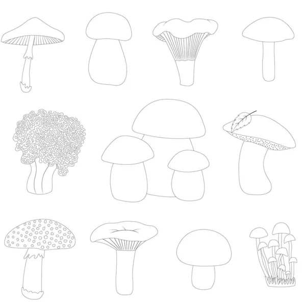 Coloriage Aperçu Des Champignons Livre Colorier Pour Enfants — Image vectorielle