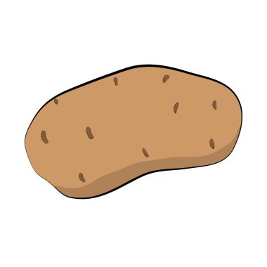 Beyaz arka planda izole edilmiş taze bir patates tasviri. Bahçedeki mutfak için sebzeler. Sağlıklı beslenmek için organik sebzeler.