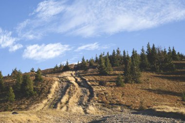 Mavi gökyüzünün arka planında mistik bir karpati. Karpatlar 'daki yol. Karpatların panoraması