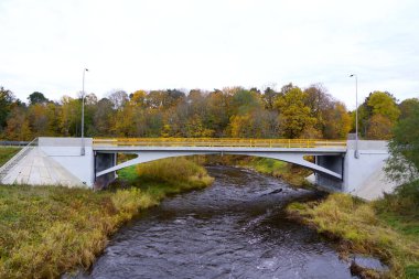 Sonbahar doğasının arka planına karşı nehir üzerindeki otomobil köprüsü.