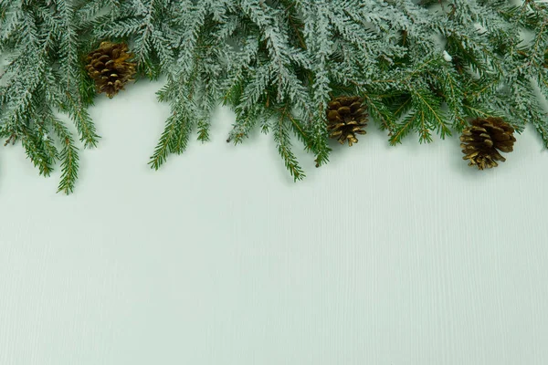 Gran grenar på en vit trä bakgrund. prototyp — Stockfoto