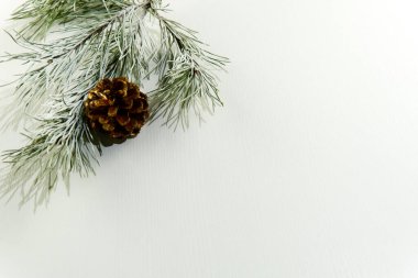 Beyaz ahşap zemin üzerinde koni olan köknar dalları. Uzayı kopyala, düz yat