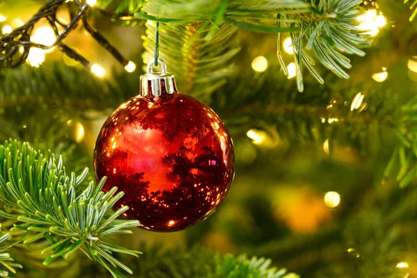 Ornamento vermelho com árvore de Natal no fundo, espaço de cópia para texto — Fotografia de Stock