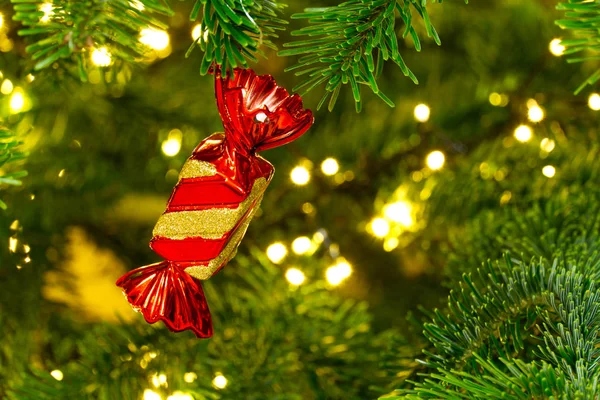 Ornamento vermelho com árvore de Natal no fundo, espaço de cópia para texto — Fotografia de Stock