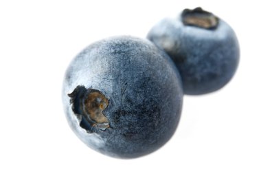 Beyaz arka planda izole edilmiş taze yaban mersini. Yakın çekim