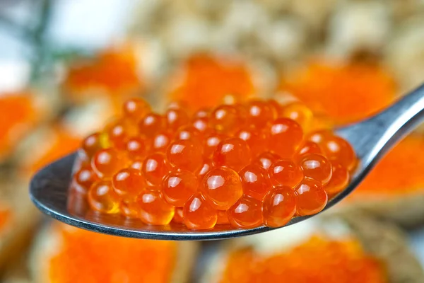 Le caviar rouge. Caviar dans la cuillère. Nourriture gastronomique. Apéritif — Photo