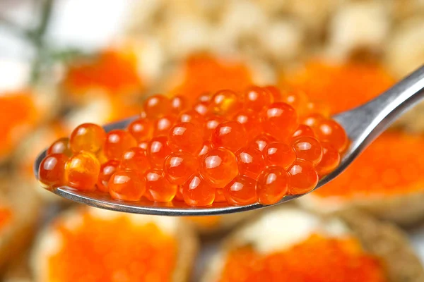Le caviar rouge. Caviar dans la cuillère. Nourriture gastronomique. Apéritif — Photo