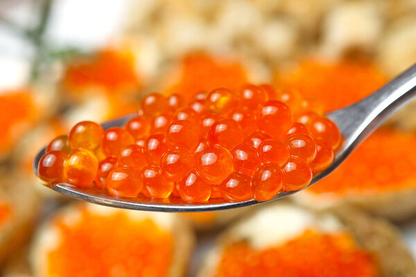 Red Caviar. Caviar in spoon. Gourmet food. Appetizer