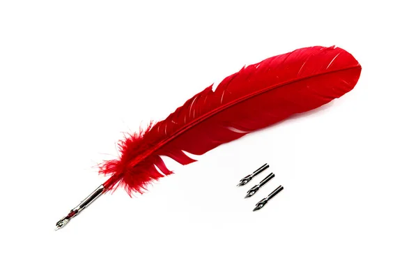A red feather pen isolated on white background — Stok fotoğraf