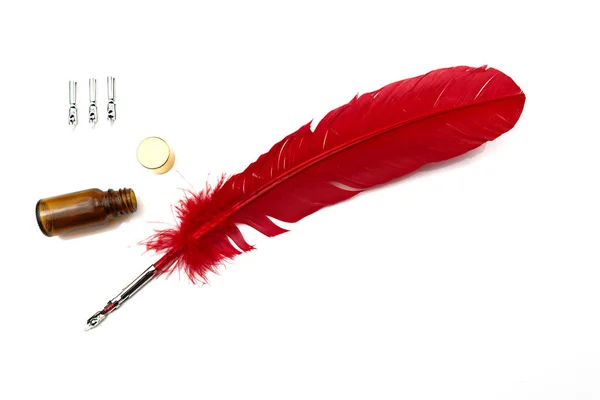 A red feather pen isolated on white background — Stok fotoğraf