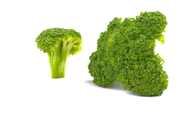 Highly detailed fresh broccoli, isolated on white. close up shoot. — 스톡 사진