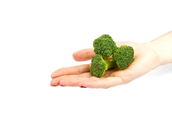 Brokolice v ruce izolované na bílém pozadí s kopírovacím prostorem — Stock fotografie