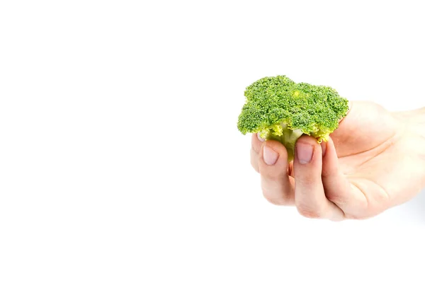 Broccoli in de hand geïsoleerd op witte achtergrond met kopieerruimte — Stockfoto