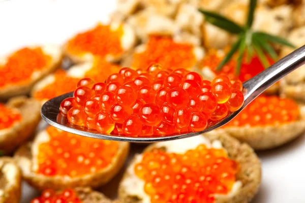 Sandwichs au caviar rouge sur plaque blanche close up — Photo