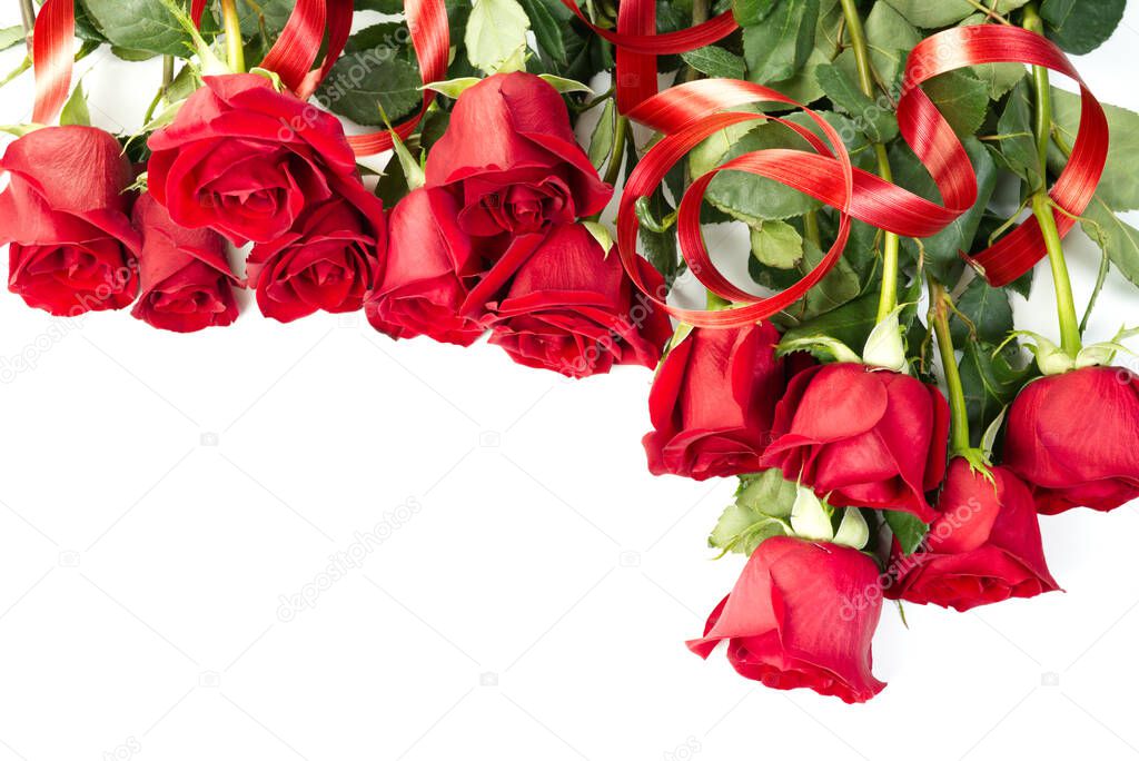 beautiful red roses. Fresh roses on white background. with copy space