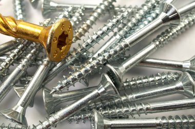 Torx screws close up. Gold screws for wood, chipboard or plywood with torx head.