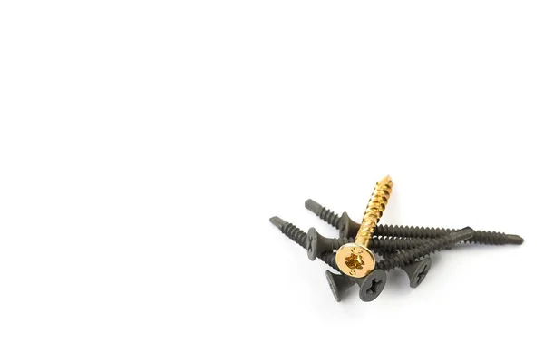 Goldene Schraube auf einem Haufen schwarzer Schrauben Close-up. Holzschrauben isoliert, weicher Fokus weiß — Stockfoto