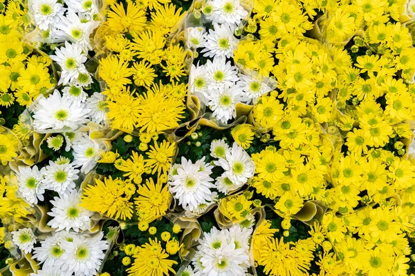 Żółto Białe Gerbery Lub Białe Żółte Stokrotki Opakowaniu Sprzedaż Kwiaciarni — Zdjęcie stockowe