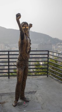 Michael Jackson heykeli Rio de Janeiro 'daki Santa Marta tepesinde bulundu.