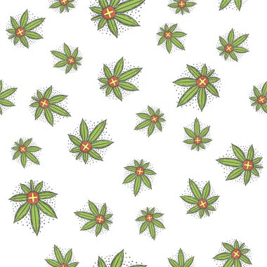 Sorunsuz doku tıbbi esrar beş