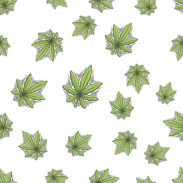 Sorunsuz doku esrar altı