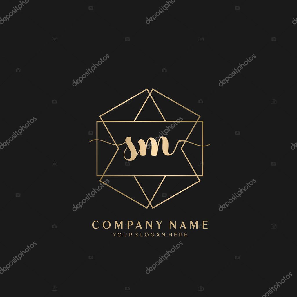 SM Initial handwriting logo geometric template vector