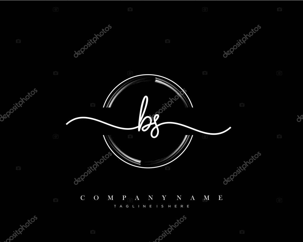 BS Initial handwriting logo template vector.