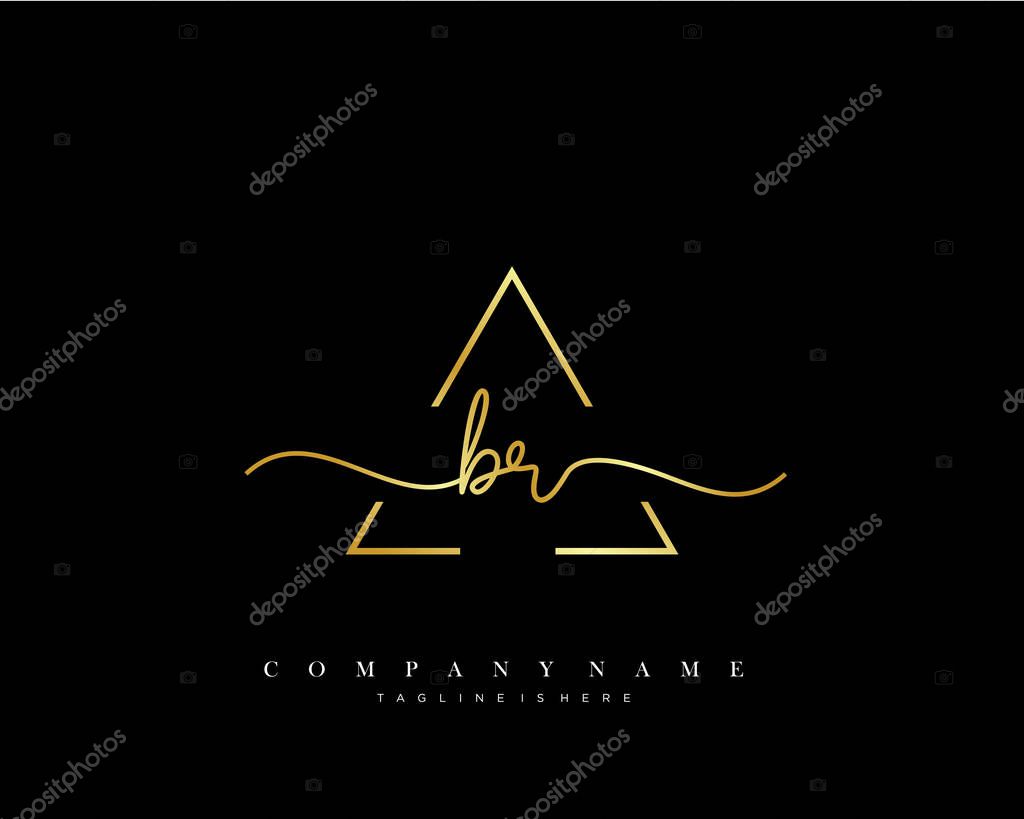 BR Initial handwriting logo template vector.