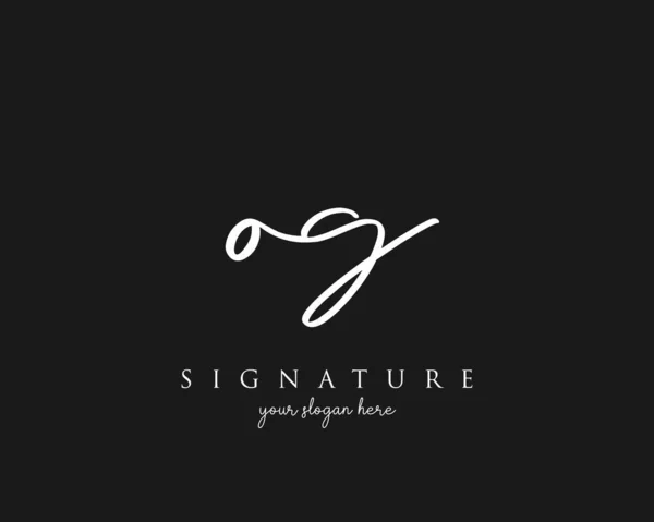 Letter Signature Logo Template Vector — Stock Vector