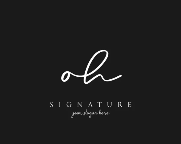 Letter Signature Logo Template Vector — Stock Vector