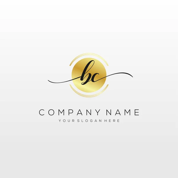 Inicial Handwriting Logotipo Vetor Logotipo Para Negócios Beleza Moda Outro —  Vetores de Stock