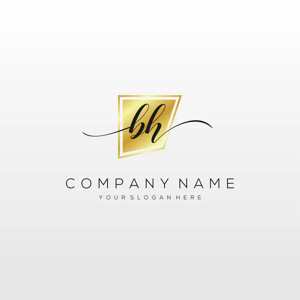 Inicial Handwriting Logotipo Vetor Logotipo Para Negócios Beleza Moda Outro —  Vetores de Stock