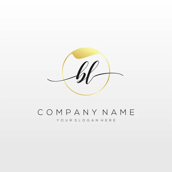 Inicial Handwriting Logo Vetor Logotipo Para Negócios Beleza Moda Outro — Vetor de Stock